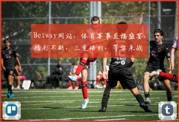 Betway网站，体育赛事直播盛宴，精彩不断，三重福利，等你来战