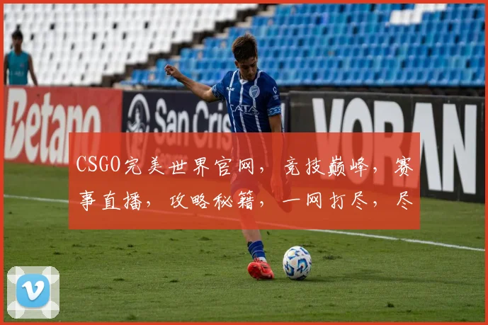 CSGO完美世界官网，竞技巅峰，赛事直播，攻略秘籍，一网打尽，尽在掌握