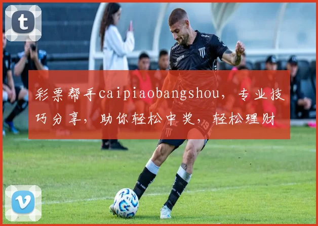 彩票帮手caipiaobangshou，专业技巧分享，助你轻松中奖，轻松理财