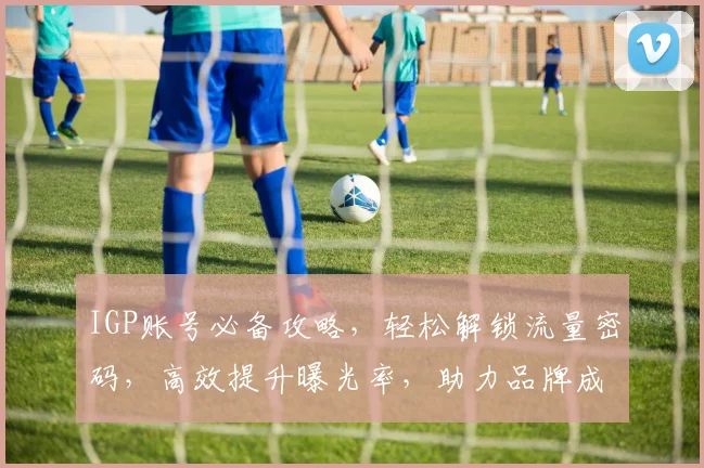 IGP账号必备攻略，轻松解锁流量密码，高效提升曝光率，助力品牌成长三步走