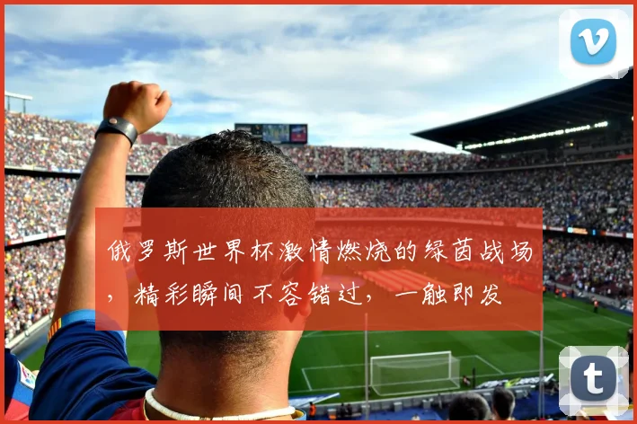 俄罗斯世界杯激情燃烧的绿茵战场，精彩瞬间不容错过，一触即发