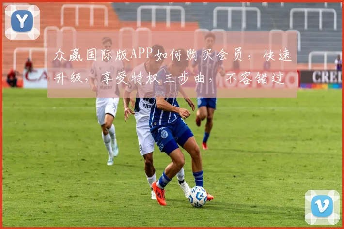 众赢国际版APP如何购买会员，快速升级，享受特权三步曲，不容错过，轻松玩转
