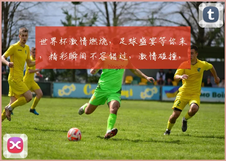 世界杯激情燃烧，足球盛宴等你来，精彩瞬间不容错过，激情碰撞，谁将问鼎冠军
