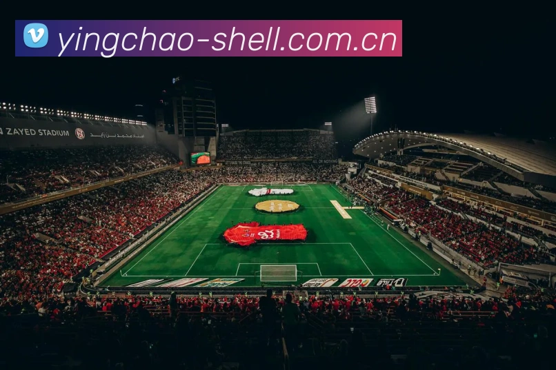 未来规划